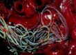 heartworm in Thailand