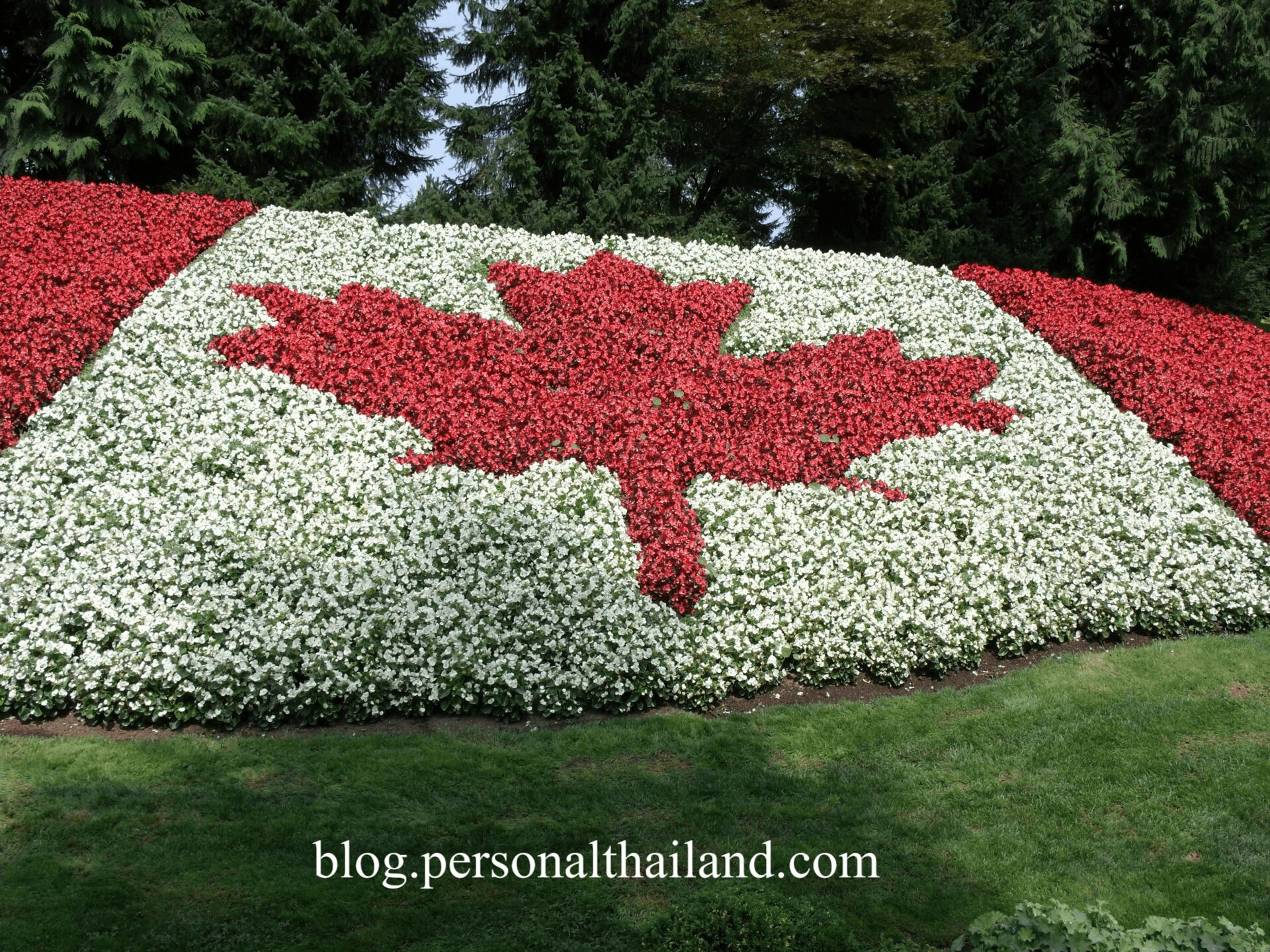 Canadian in Thailand Canadian in Thailand