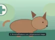 AI-created illustration of a brown dog on grass beside a round medical cross symbol