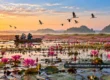 AI-generated image: Pink lotus wetland at sunrise (conceptual image, not an identified site)